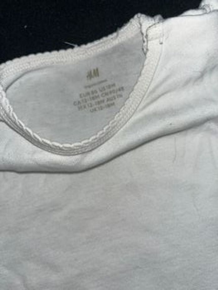 Bodie 18 mois - photo numéro 4