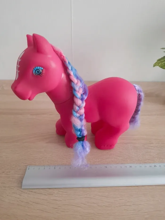 Grand Poney - photo numéro 5