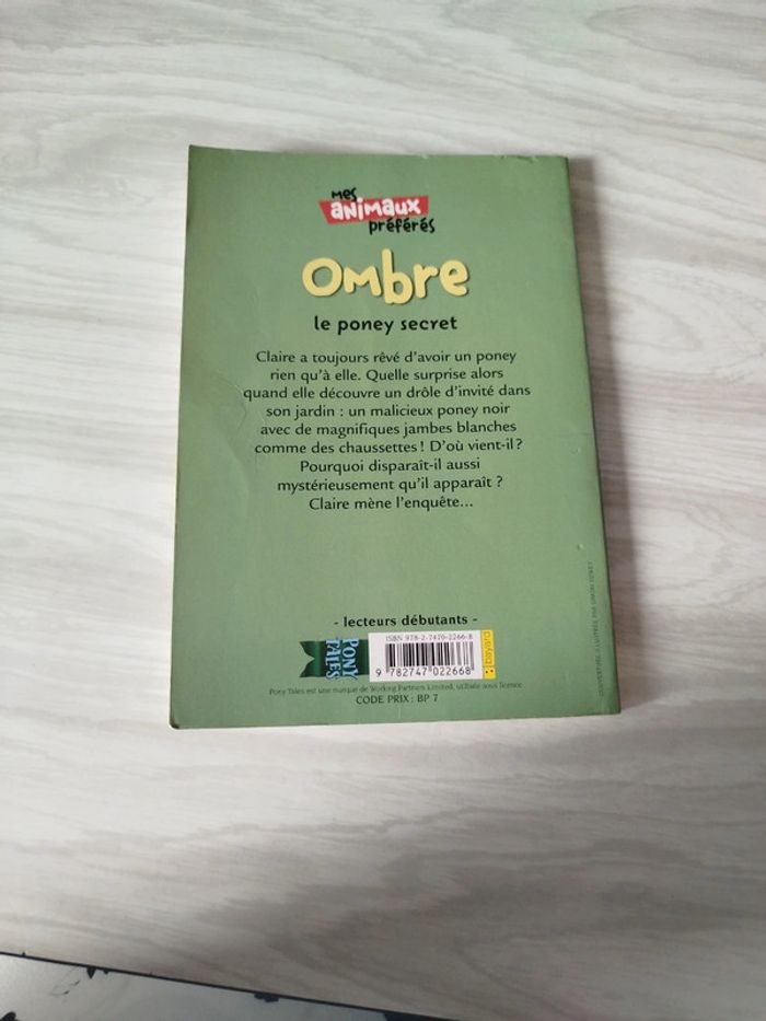 🐴 Ombre, le poney secret – Jenny Dale - photo numéro 2