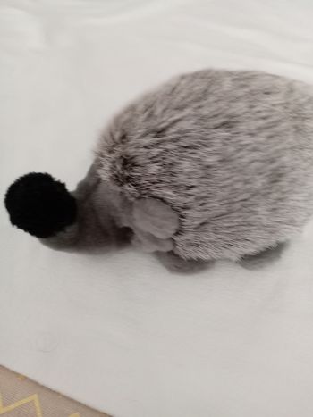 Peluches 