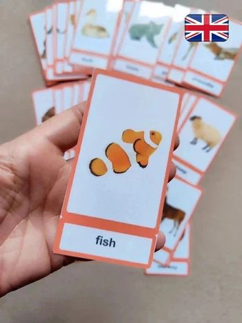 Lot de 56 cartes de nomenclature sur les animaux en Anglais Montessori