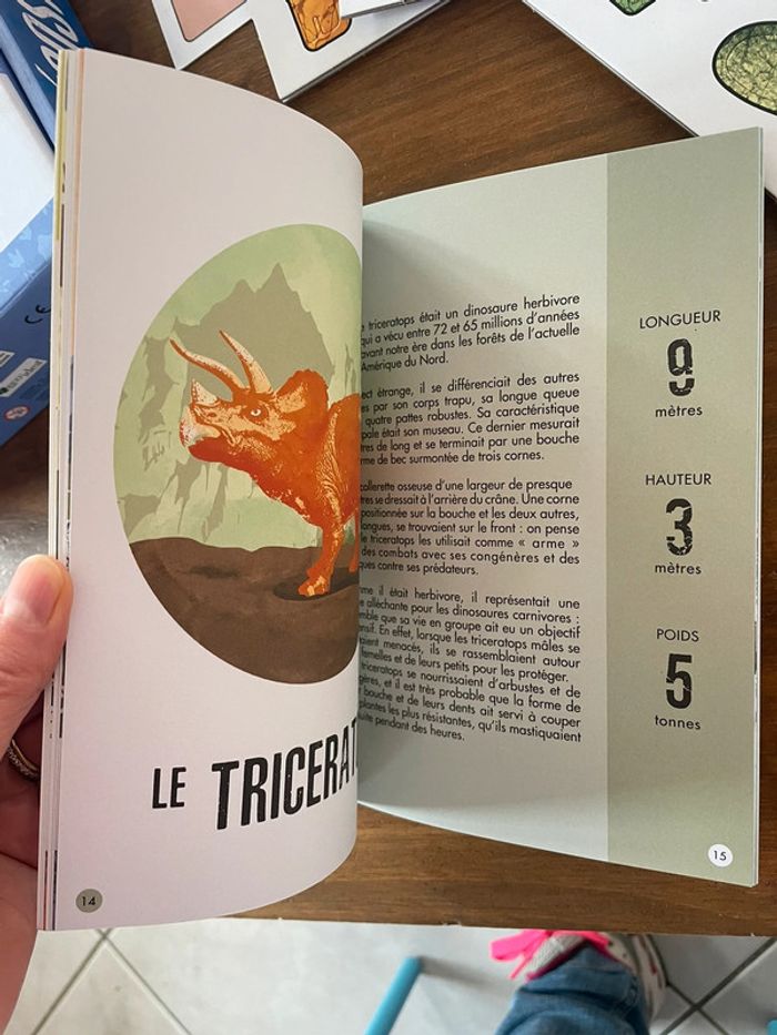 Maquette + livre Stégosaure - photo numéro 5