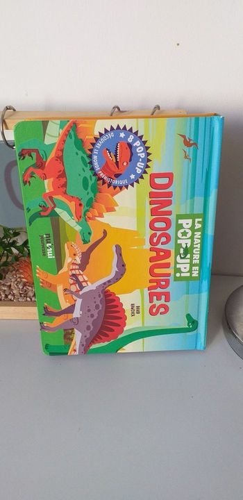 Livre enfant dinosaures