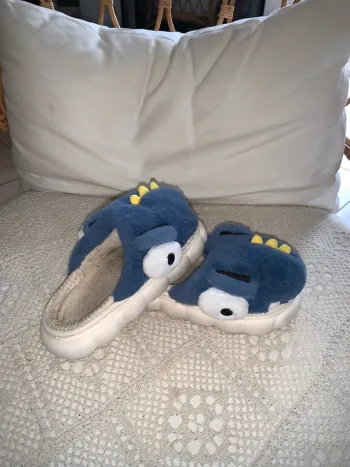 Chausson requin