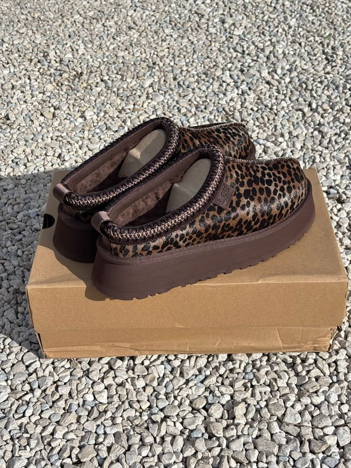 Ugg tazz caspian - photo numéro 5