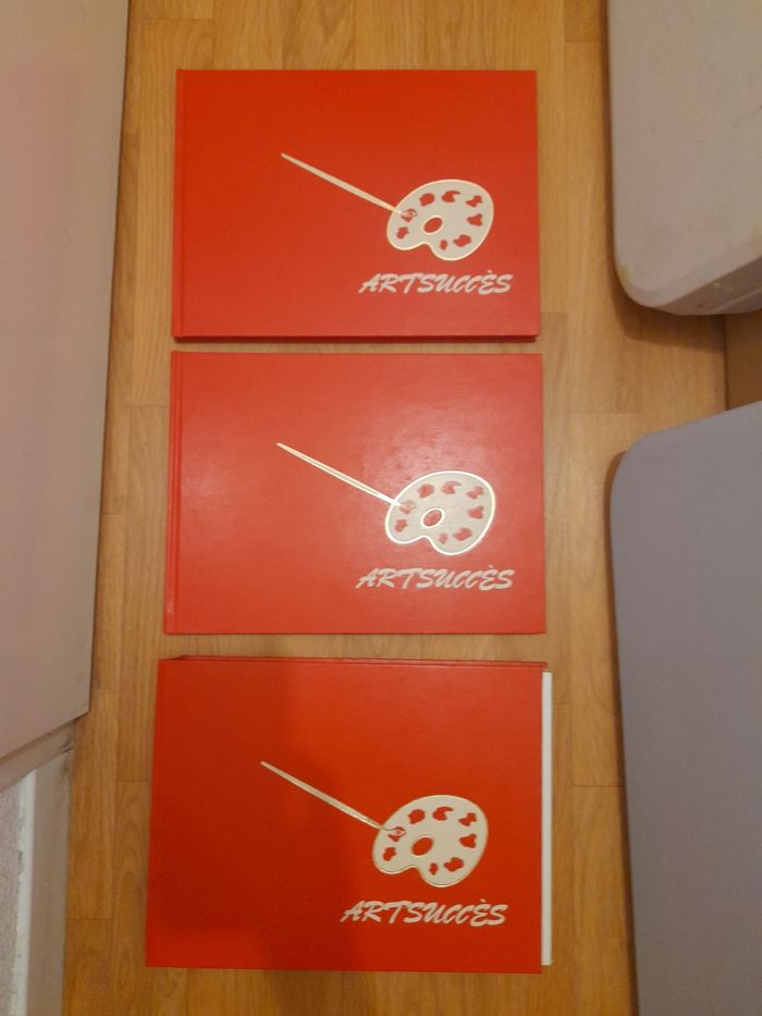 Artsuccès volumes 1-2-3 - photo numéro 6