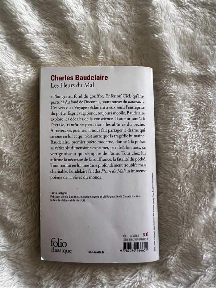 Baudelaire, les fleurs du mal - photo numéro 2