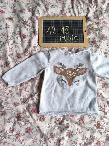 Pull Taille 12-18 mois en très bon état