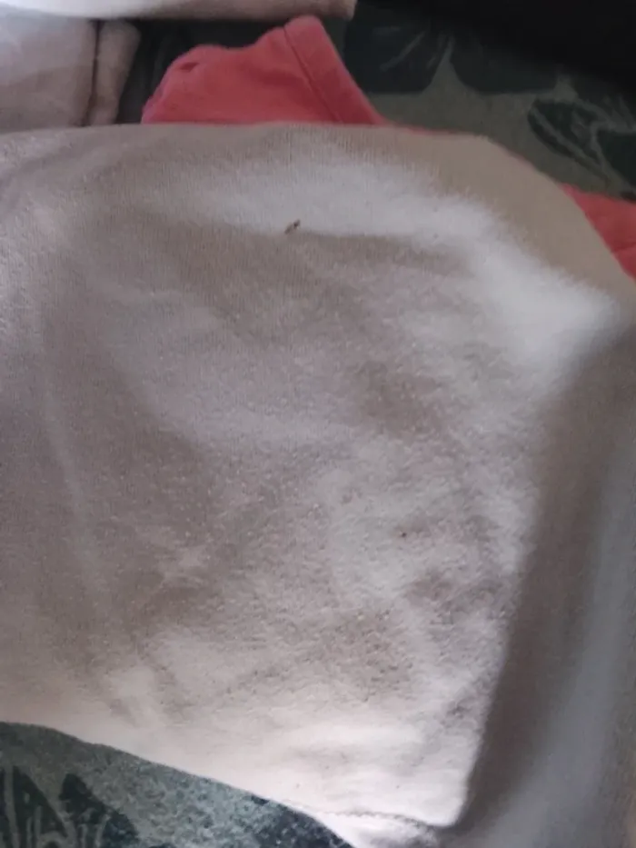 Lot tee-shirt Manche longue 4 ans - photo numéro 11