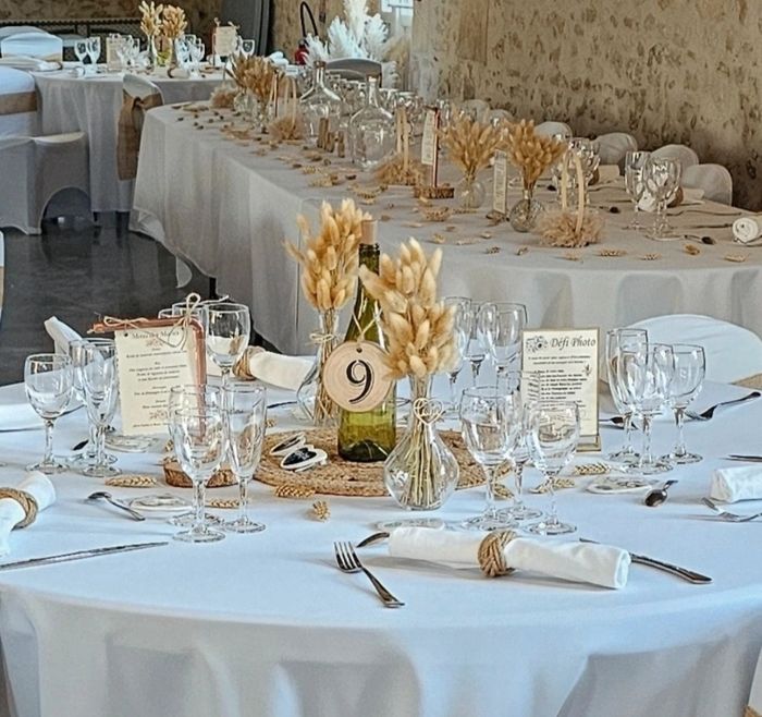 Lot de 15 sets de table - photo numéro 2