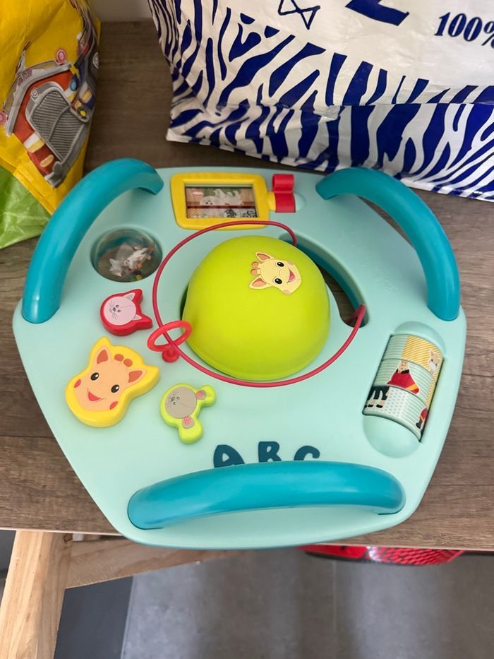 Tableau d’activités vice versa Sophie la Girafe