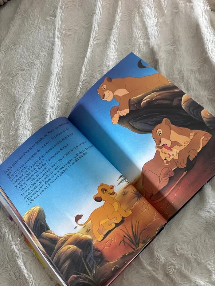 Le roi lion - photo numéro 3
