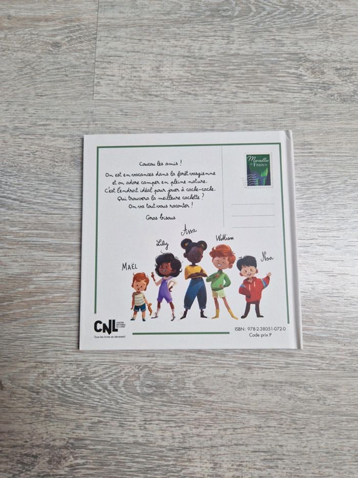 Livre neuf enfant Cache-cache dans les Vosges par Grimaldi et Pichot - photo numéro 2