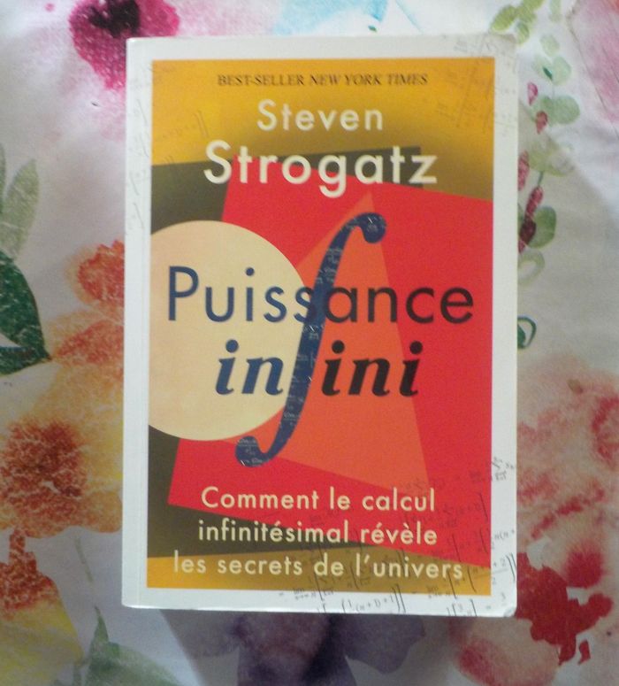 PUISSANCE INFINI (Calcul infinitésimal) par Steven STROGATZ