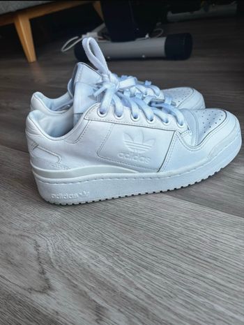 Adidas Forum Bold
