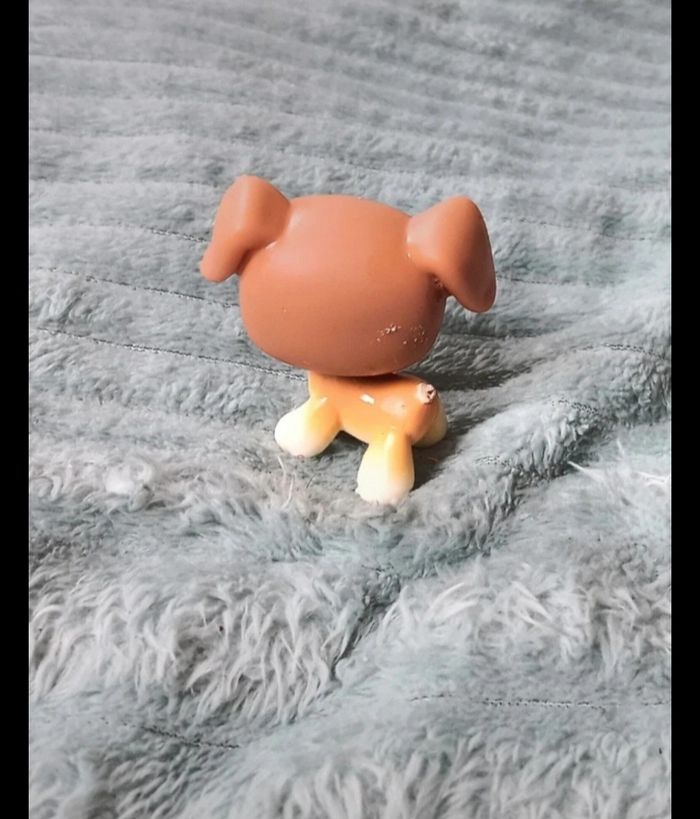 Petshop chien 25 - photo numéro 4