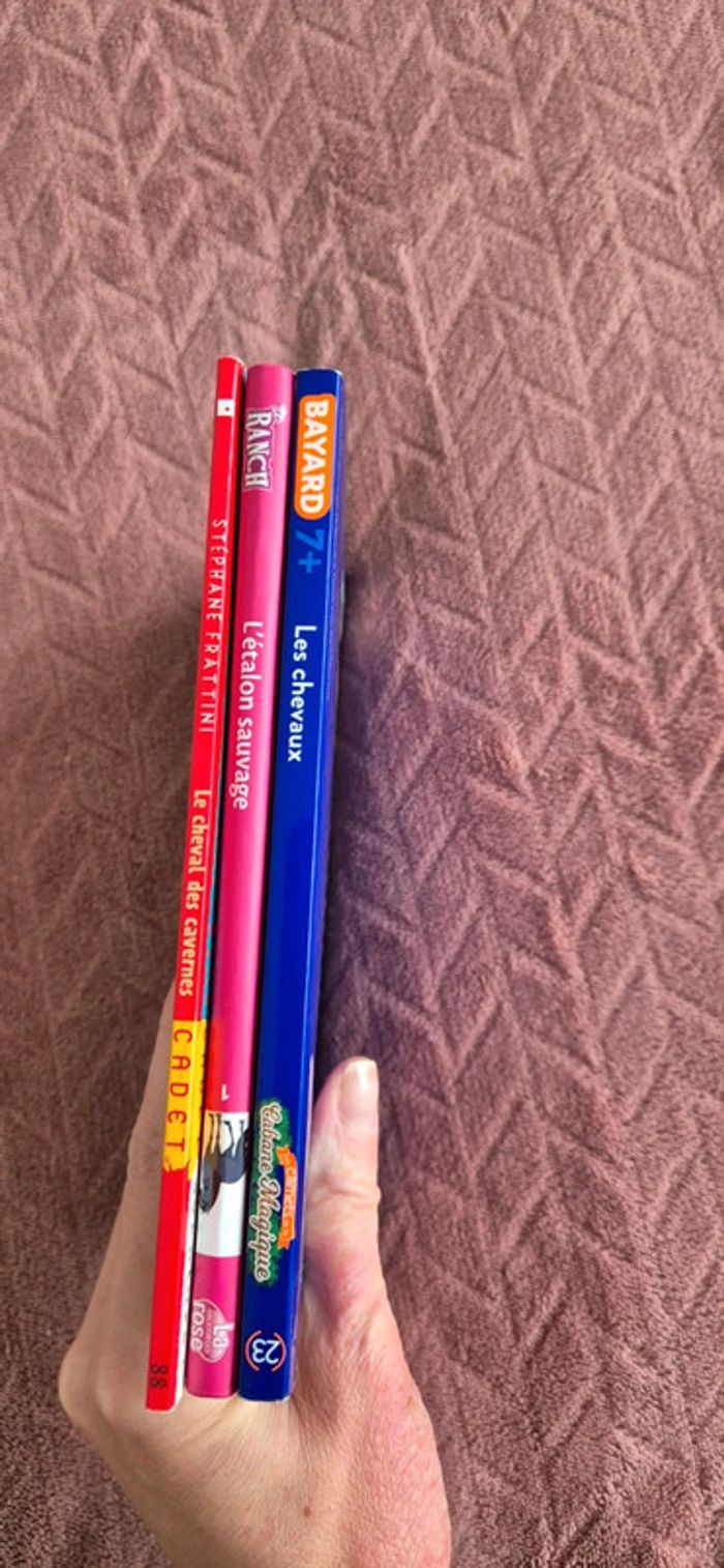 Lot livres chevaux - photo numéro 9