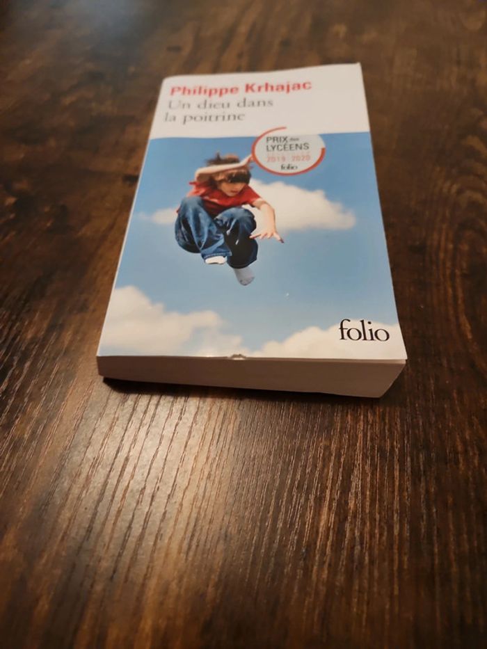 Livre : un dieu dans la poitrine - photo numéro 4