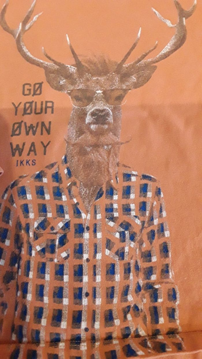 Tee shirt ikks 4 ans - photo numéro 2