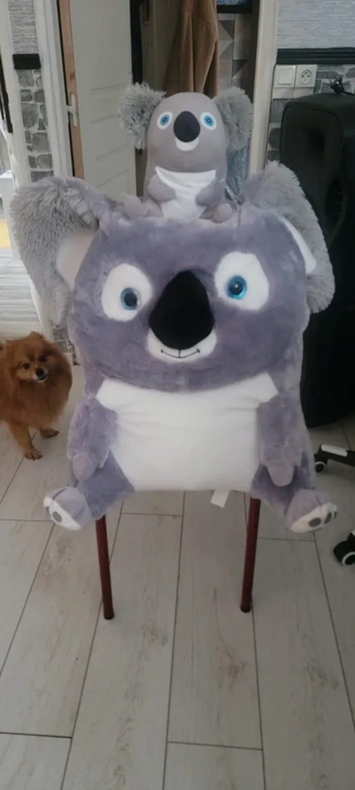 Peluche - photo numéro 2