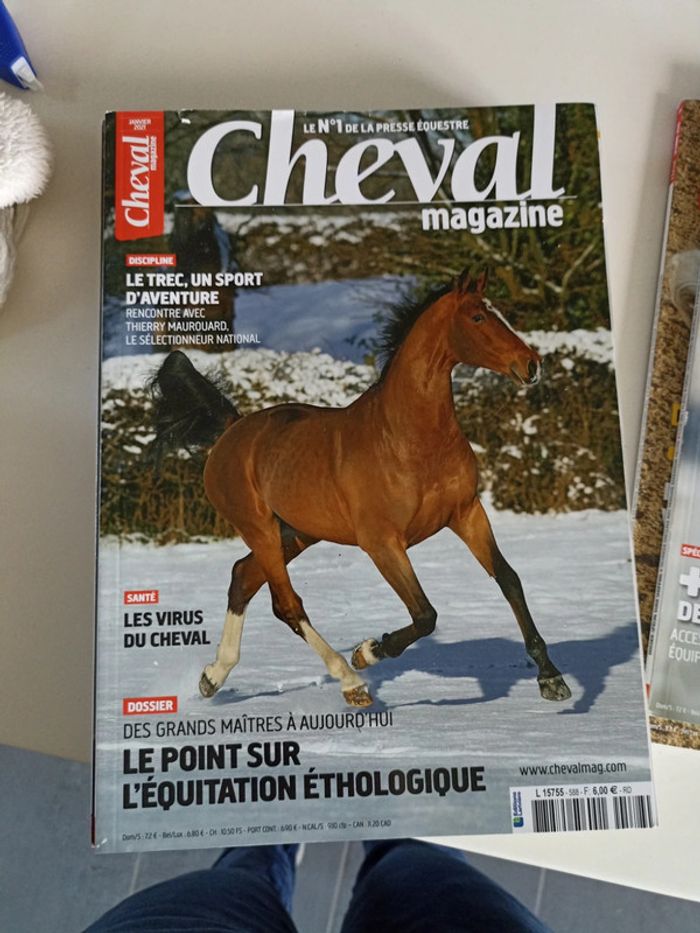Cheval magazine - photo numéro 2