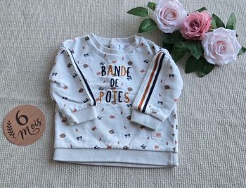 Sweat 6 mois Mes Petits Cailloux très bon état 