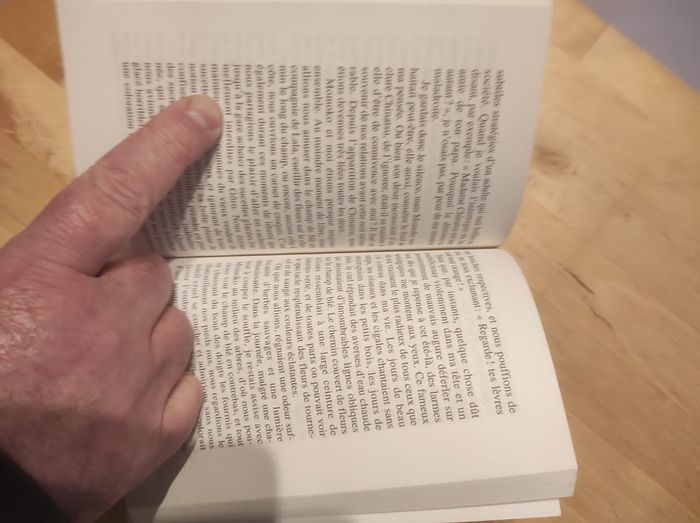 Le Chat dans le cercueil Koike Mariko - Picquier Poche 2002 - photo numéro 4