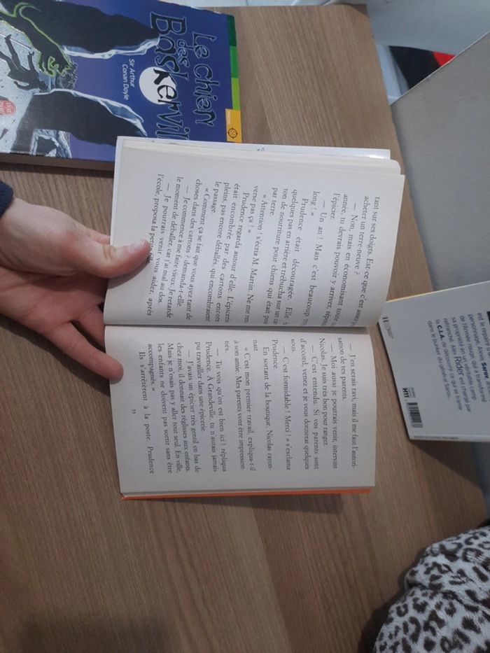 Livre - photo numéro 5