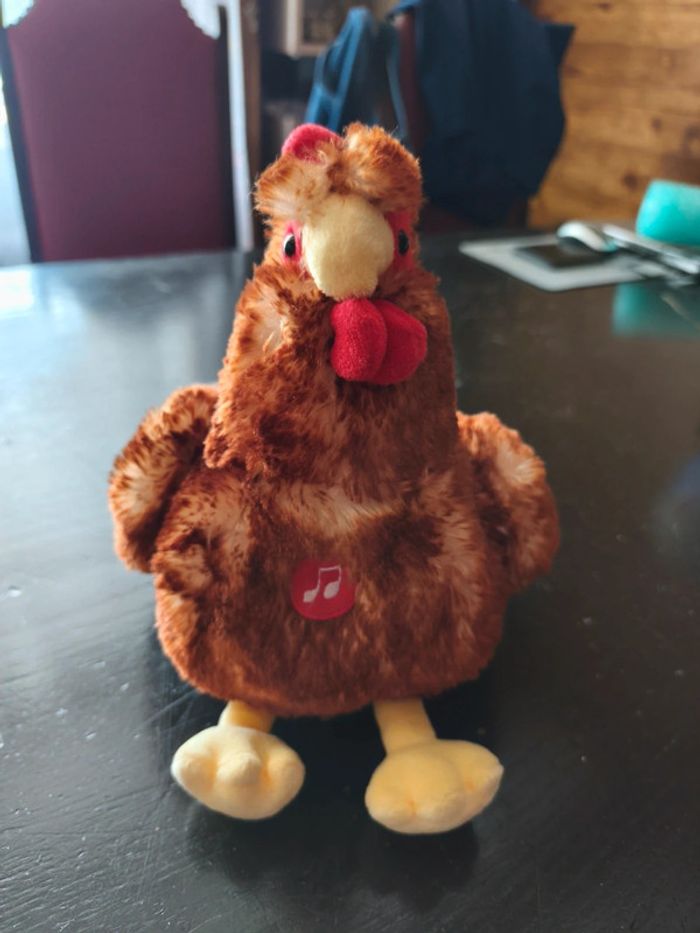 Poule qui cacete - photo numéro 3