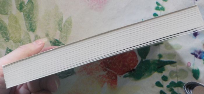 LES AMANTS DE JUIN de Albert DUCLOZ Ed. Le Livre de Poche - photo numéro 5