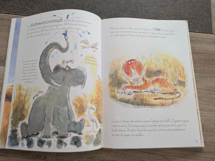 Grand livre j'adore les animaux magnifiques images et illustrations - photo numéro 4