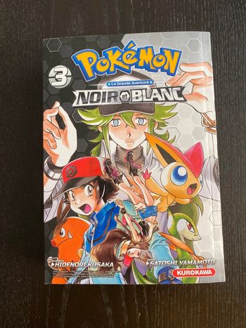 Pokémon noir et blanc 3