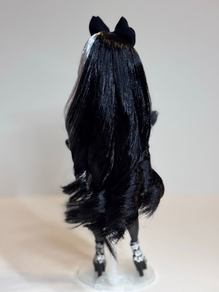 Shanelle Rainbow High - photo numéro 5