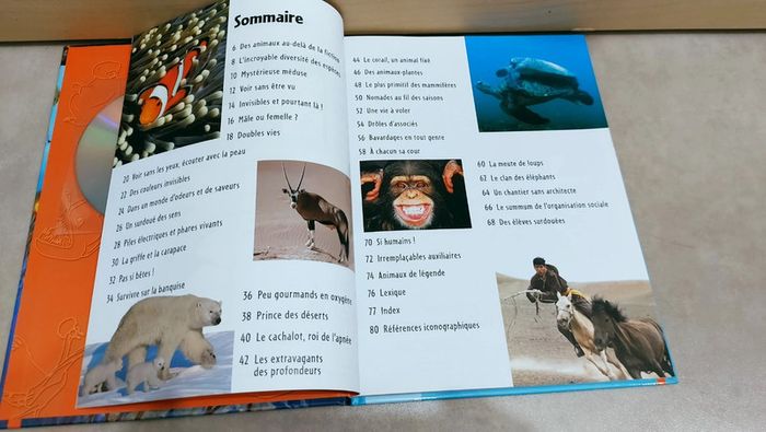 📚 Livre avec DVD pédagogique : Les pouvoirs secrets des animaux - photo numéro 3
