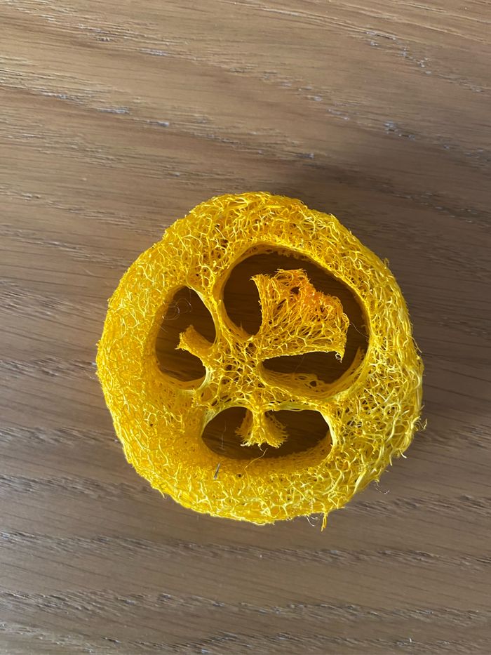 Lot de 2 jouets à mâcher pour rongeur - photo numéro 4