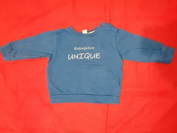 Haut manches longues 12 mois