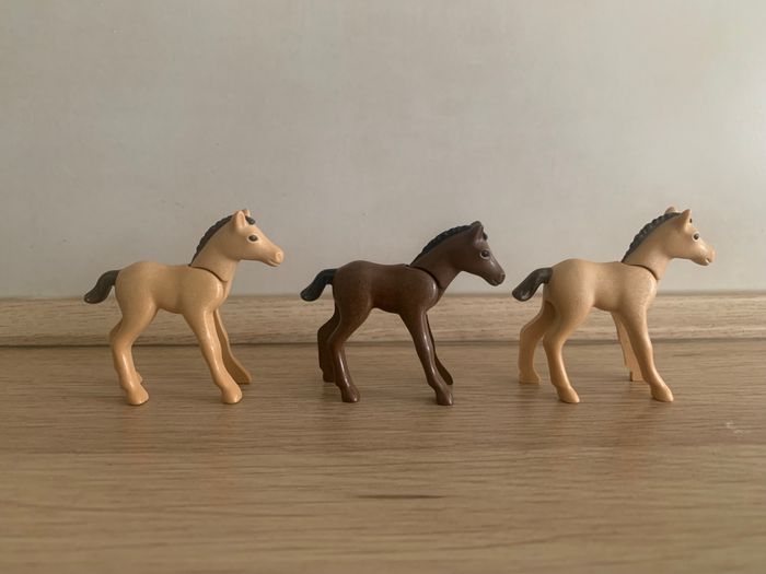 Chevaux/poneys/poulains Playmobil - photo numéro 6