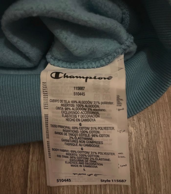 Pull Champion - photo numéro 7