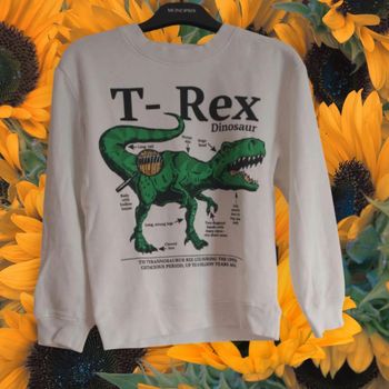 Sweat blanc dinosaure - H&M - Taille 7-8ans/122-128cm