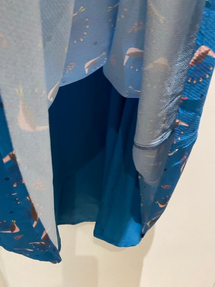 Robe Paon - photo numéro 6