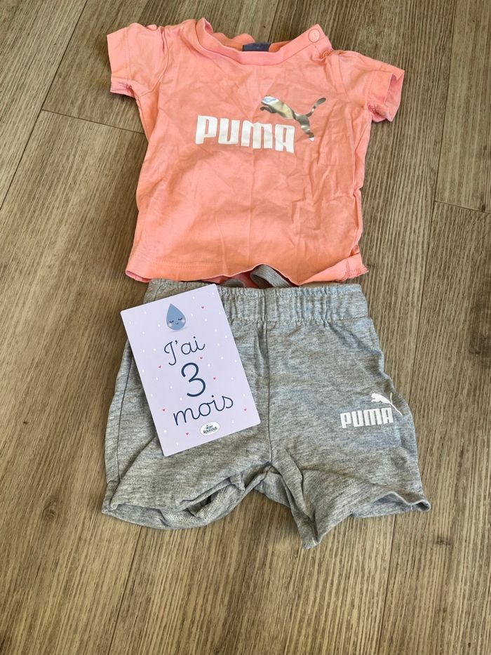 Ensemble puma