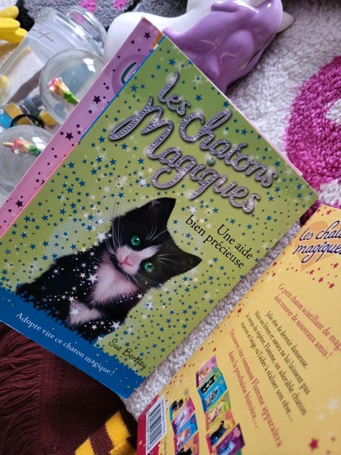 Les chatons magiques - photo numéro 17