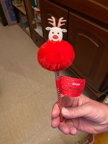 Stylo de Noël