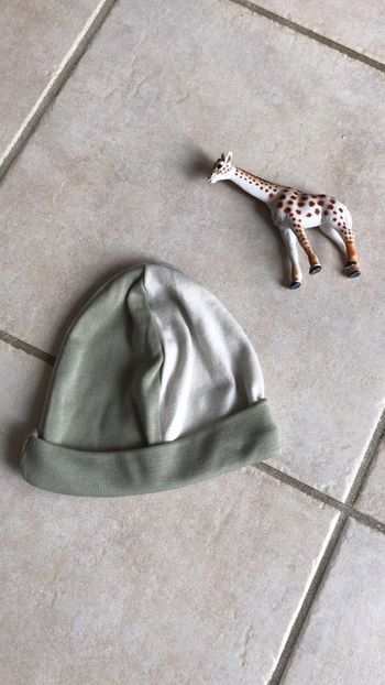 Bonnet
