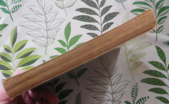 La planète suppliciée de Robert Clauzel n°760 Fleuve Noir Anticipation - photo numéro 4