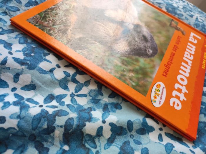 Livre album La Marmotte - photo numéro 4