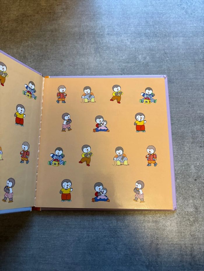 Livre T’choupi déménage - photo numéro 2