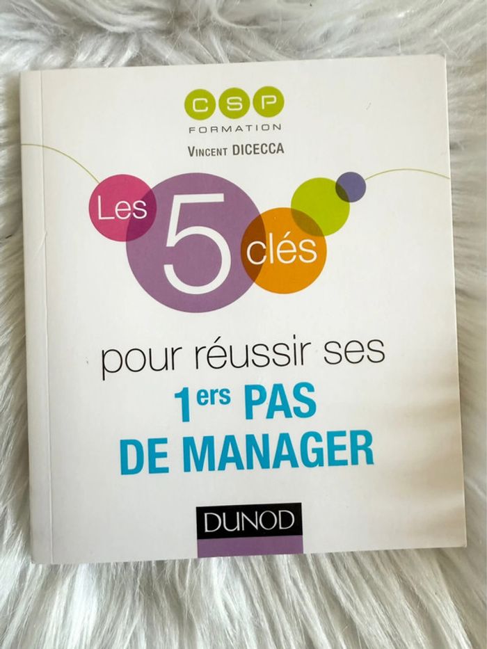 Les 5 clés pour réussir ses 1ers pas de manager – Vincent Dicecca – Dunod