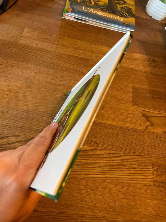 Livre Altaya Le monde des animaux Sauvages Animaux de la forêt Le boa - photo numéro 6