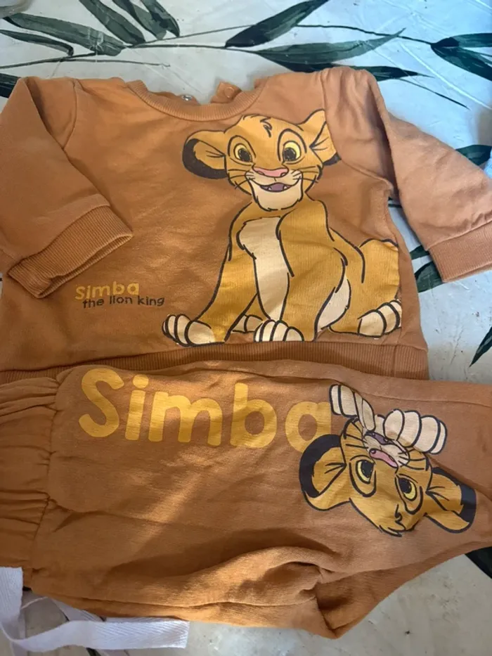 Ensemble le roi lion